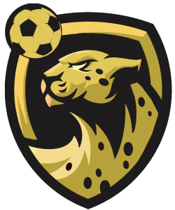 سایت چیتا بت 