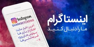 اینستاگرام شارک بت