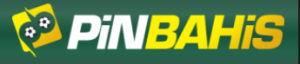 سایت پین باهیس 