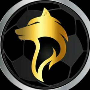 سایت ولف بت